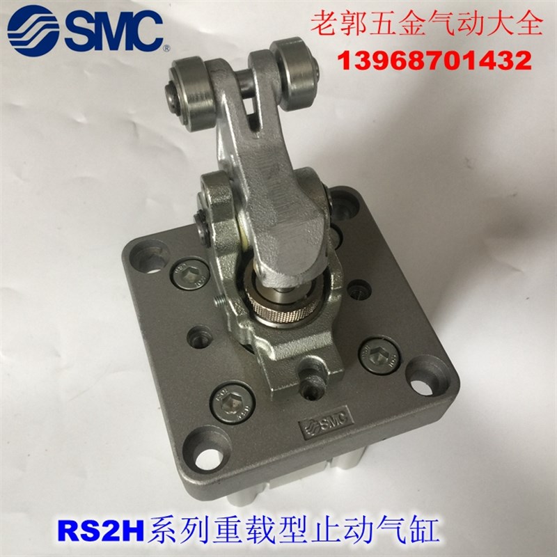 全新 RS2H50A TNA TFA-30DM DL BL BM TL TM-D DC重载止动气缸 - 图3