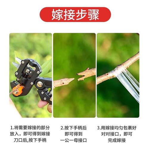 果树芽接嫁接刀专用植物园艺花卉修剪嫁接二合一多功能修枝园艺剪 - 图1