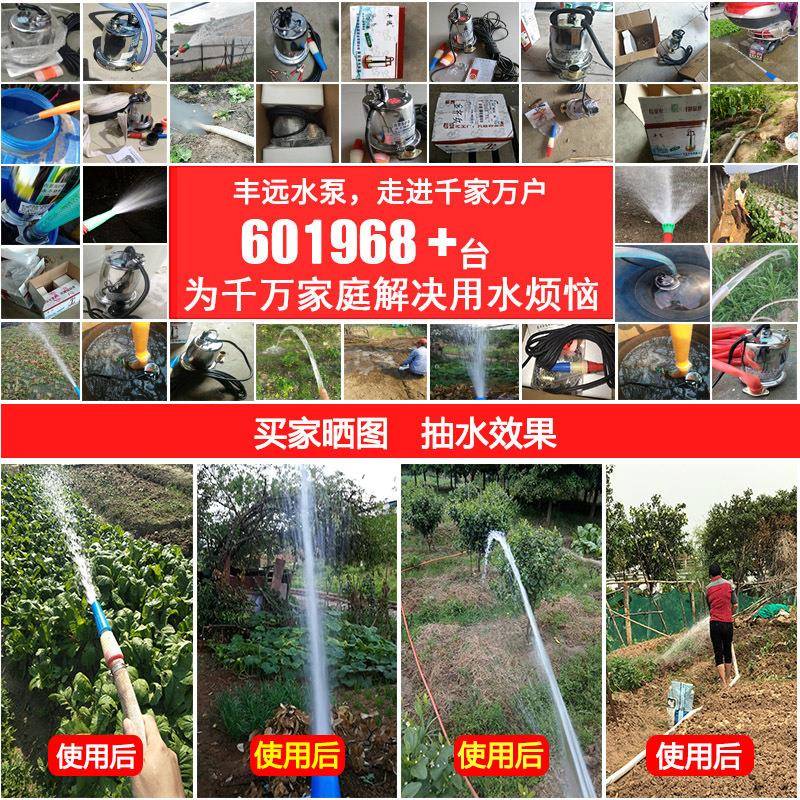 12v24V48v直流潜水泵电动车家用农用水井抽水机12-18米高扬程 - 图2