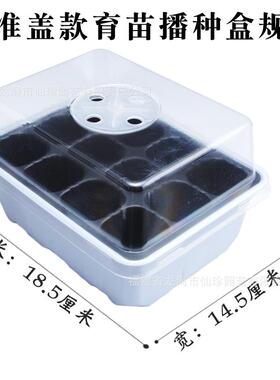 家用24孔带盖育苗穴盘专用盆营养杯塑料育苗神器托盘扦插芽菜盒