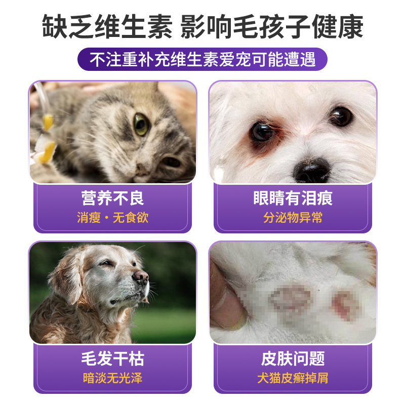 修正复合维生素B片狗狗专用泰迪金毛幼犬营养品宠物保健犬猫多维,淘宝优惠券,粉丝福利购,淘宝优惠卷