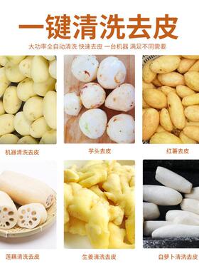 豆去皮土机用全自动马铃姜薯生芋头清洗削皮机洋葱商地瓜神器