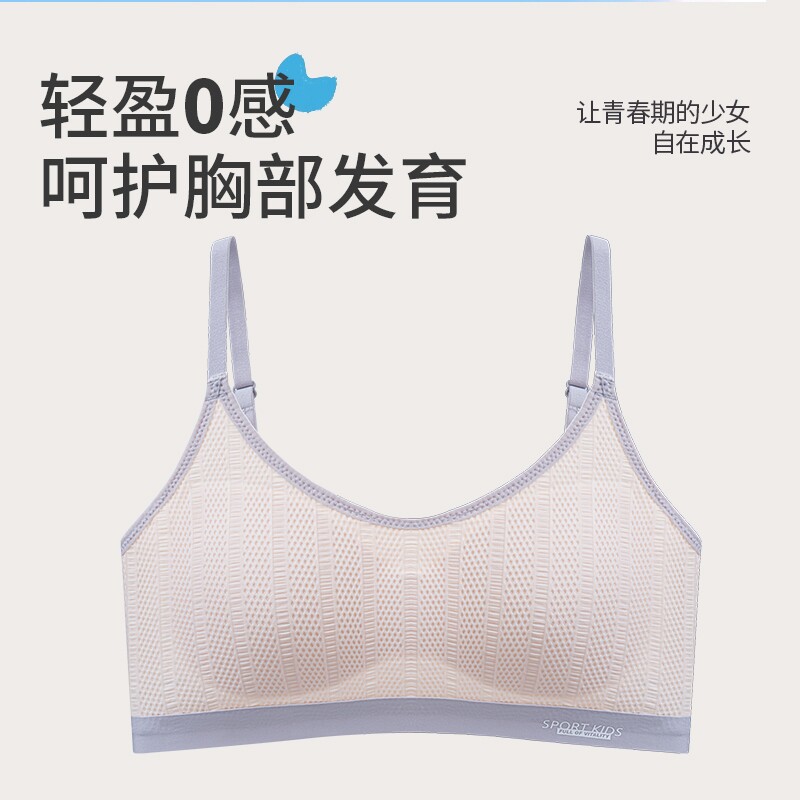 图 3