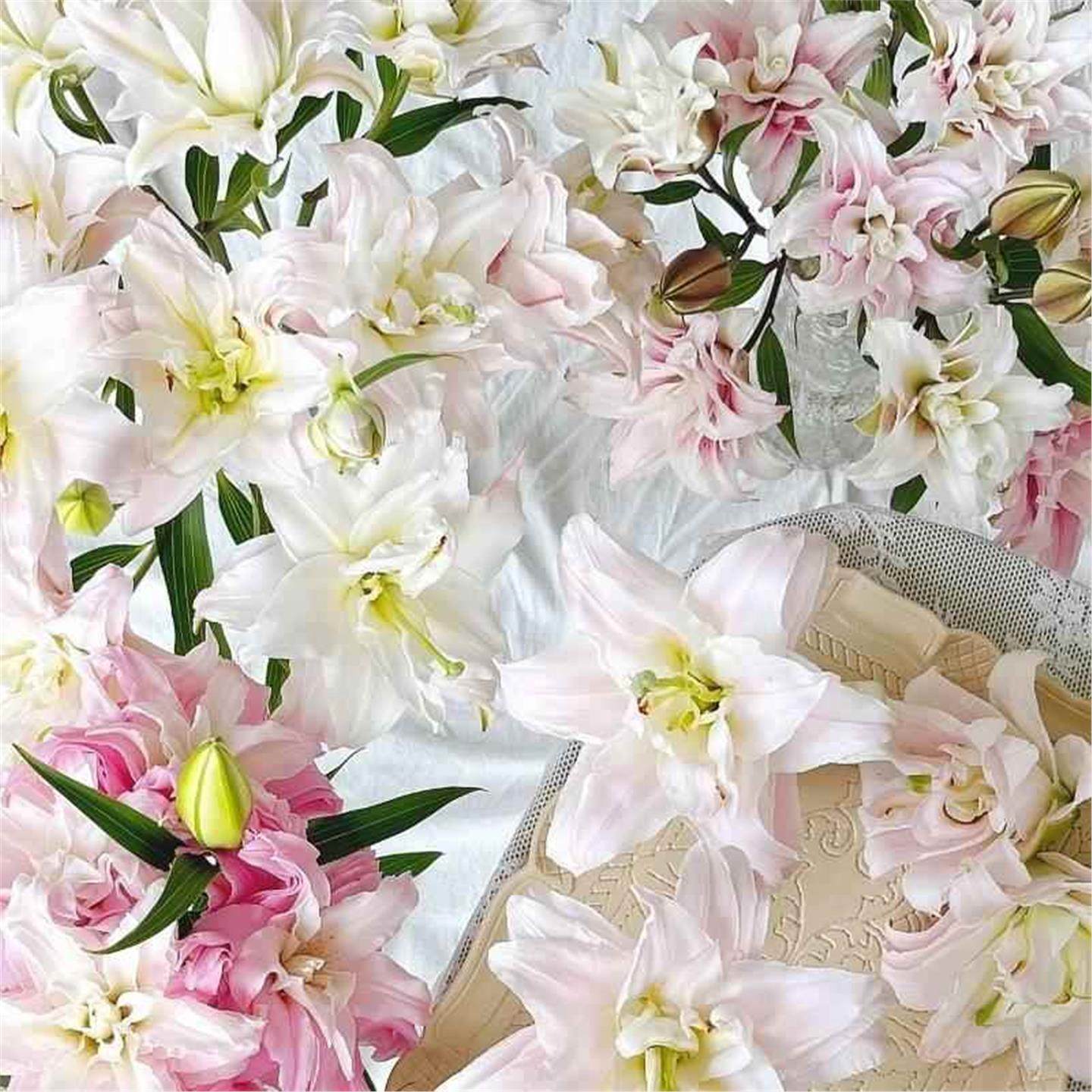 进口香水百合花种球重瓣四季多年生好养鲜花绿植盆栽室外阳台花卉,淘宝优惠券,粉丝福利购,淘宝优惠卷