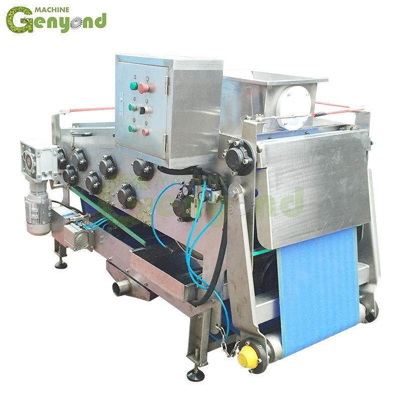 厂家供应带式榨汁设备 果蔬苹果商用快速压滤304不锈钢带式榨汁机,淘宝优惠券,粉丝福利购,淘宝优惠卷