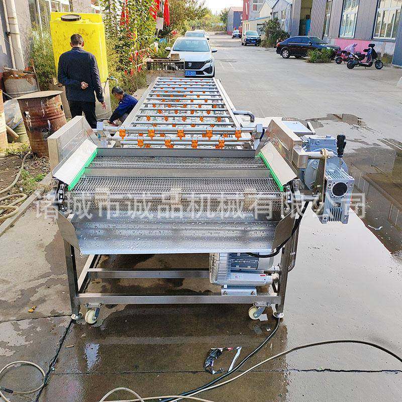 全自动果蔬气泡清洗机豆芽芹菜冬笋洗菜机海鲜毛豆香椿海参流水线,淘宝优惠券,粉丝福利购,淘宝优惠卷