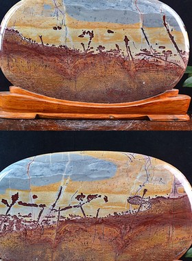 草花石奇石天然原石摆件观v赏石景观石国画石镇宅石头画成品包邮