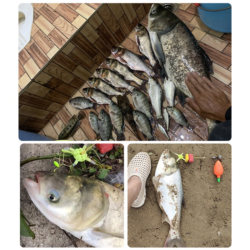 老G翠花方块钓鱼饵料钓鲢鳙专用抛投白鲢方块打窝料酸臭草莓腥臭 - 图3