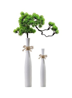 细长花瓶轻奢高级感创意摆件入户玄关壁龛客厅电R视柜高款插花装