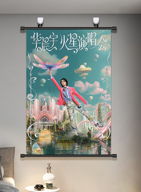 华晨宇2025火星演唱会海报挂画