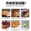Poultry piece, chicken disease treatment, chicken, duck and goose medicine, respiratory tract, cold, diarrhea, fever, flu first aid tablet, enrofloxacin