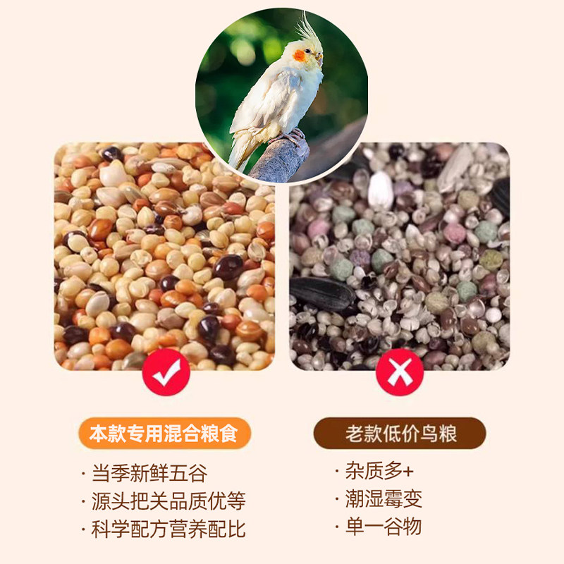 精选鸽粮鸟类粮食小型雀类斑鸠通用套餐专用带壳杂粮米混合专用粮,淘宝优惠券,粉丝福利购,淘宝优惠卷