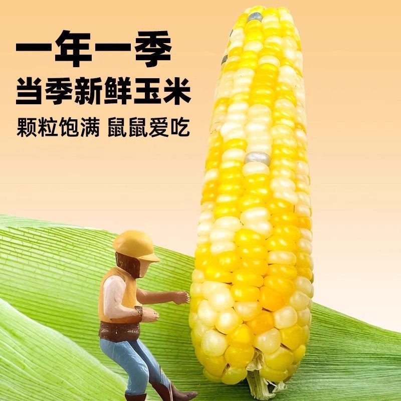 仓鼠粮零食小玉米磨牙棒金丝熊花枝鼠蜜袋鼯荷兰猪龙猫金丝熊食物,淘宝优惠券,粉丝福利购,淘宝优惠卷