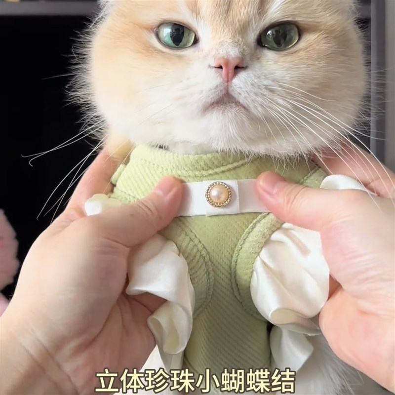 宠物猫咪背心式胸背带牵引绳防挣脱遛猫绳可爱花边狗狗小型犬狗绳 - 图2