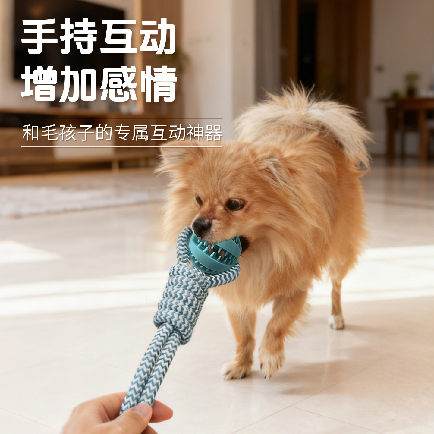 狗漏食玩具球耐啃咬手拉绳编织球金毛专用磨牙互动益智解闷神器,淘宝优惠券,粉丝福利购,淘宝优惠卷