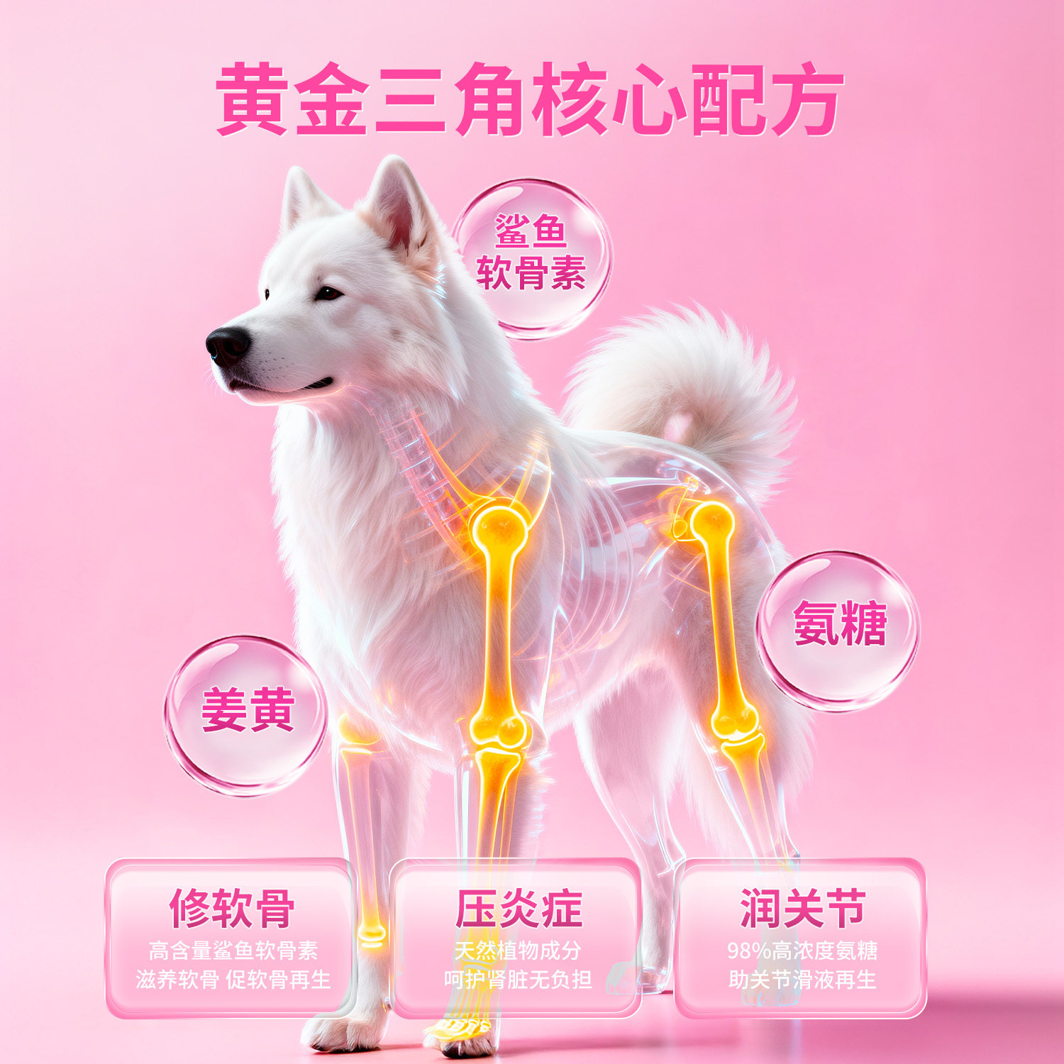 考拉胖胖鲨鱼软骨素狗狗专用钙片补钙猫咪宠物营养补充剂保健品,淘宝优惠券,粉丝福利购,淘宝优惠卷