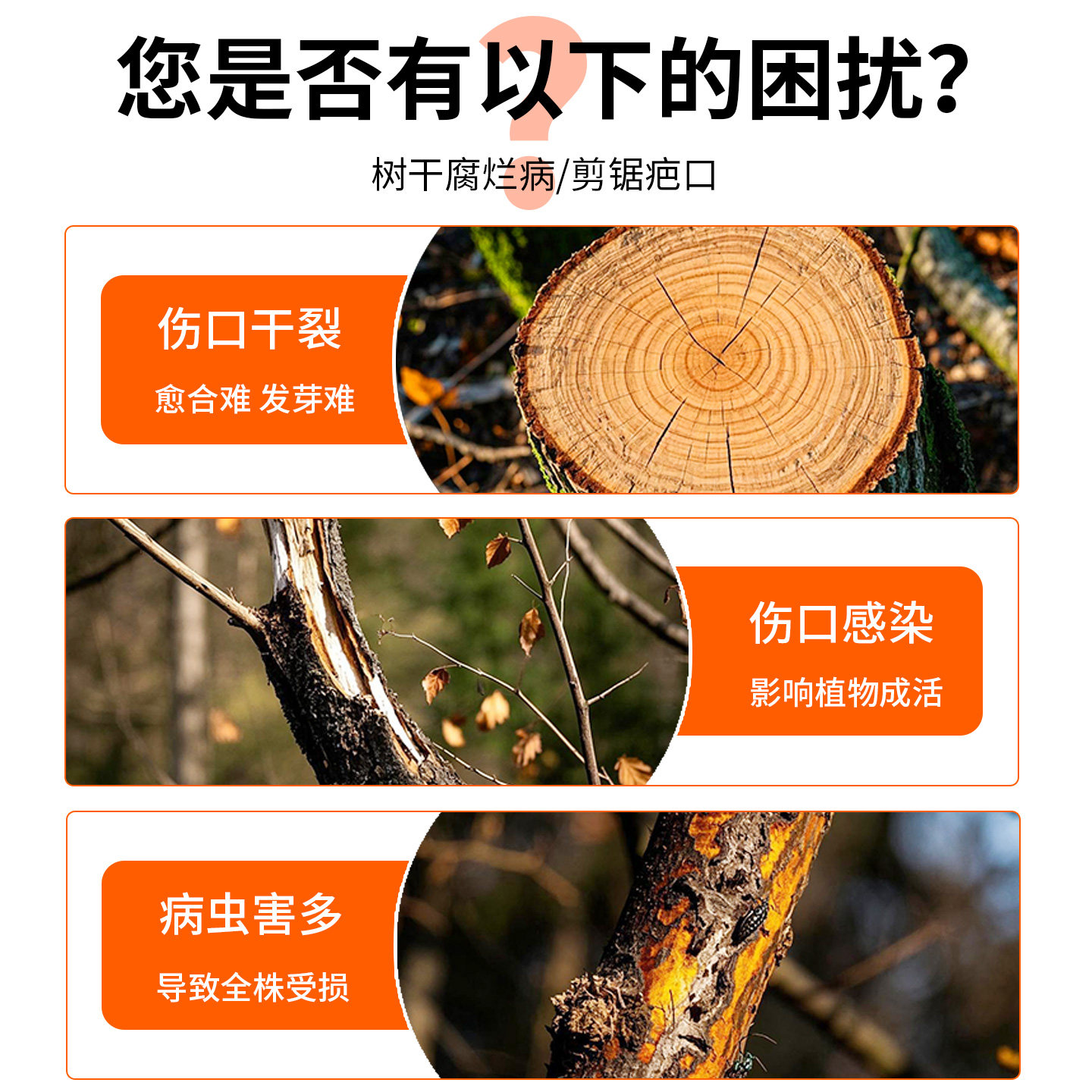 国光膜泰植物伤口愈合剂修复大树果树杨树甲基硫菌灵软腐病杀菌剂,淘宝优惠券,粉丝福利购,淘宝优惠卷