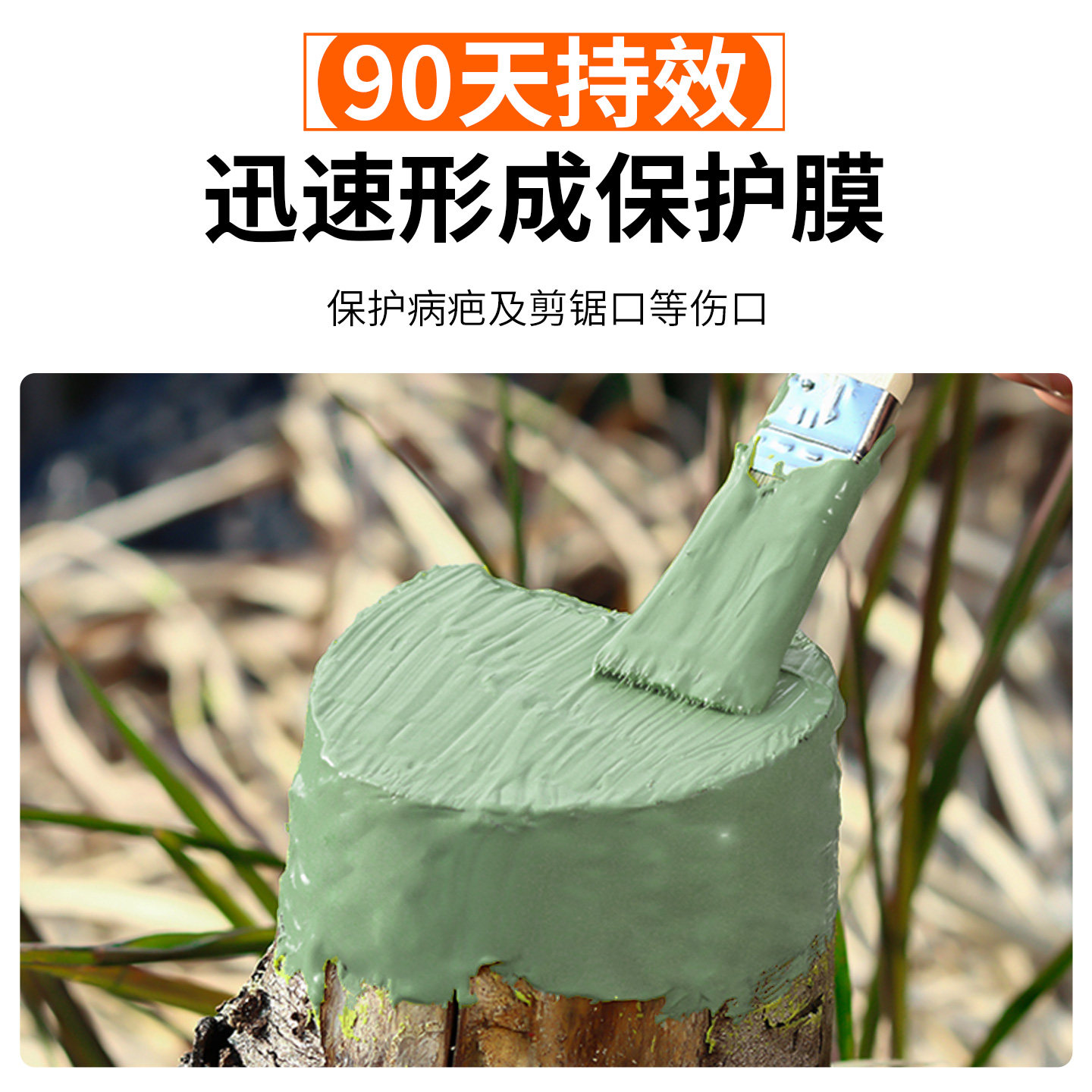 国光膜泰植物伤口愈合剂修复大树果树杨树甲基硫菌灵软腐病杀菌剂,淘宝优惠券,粉丝福利购,淘宝优惠卷