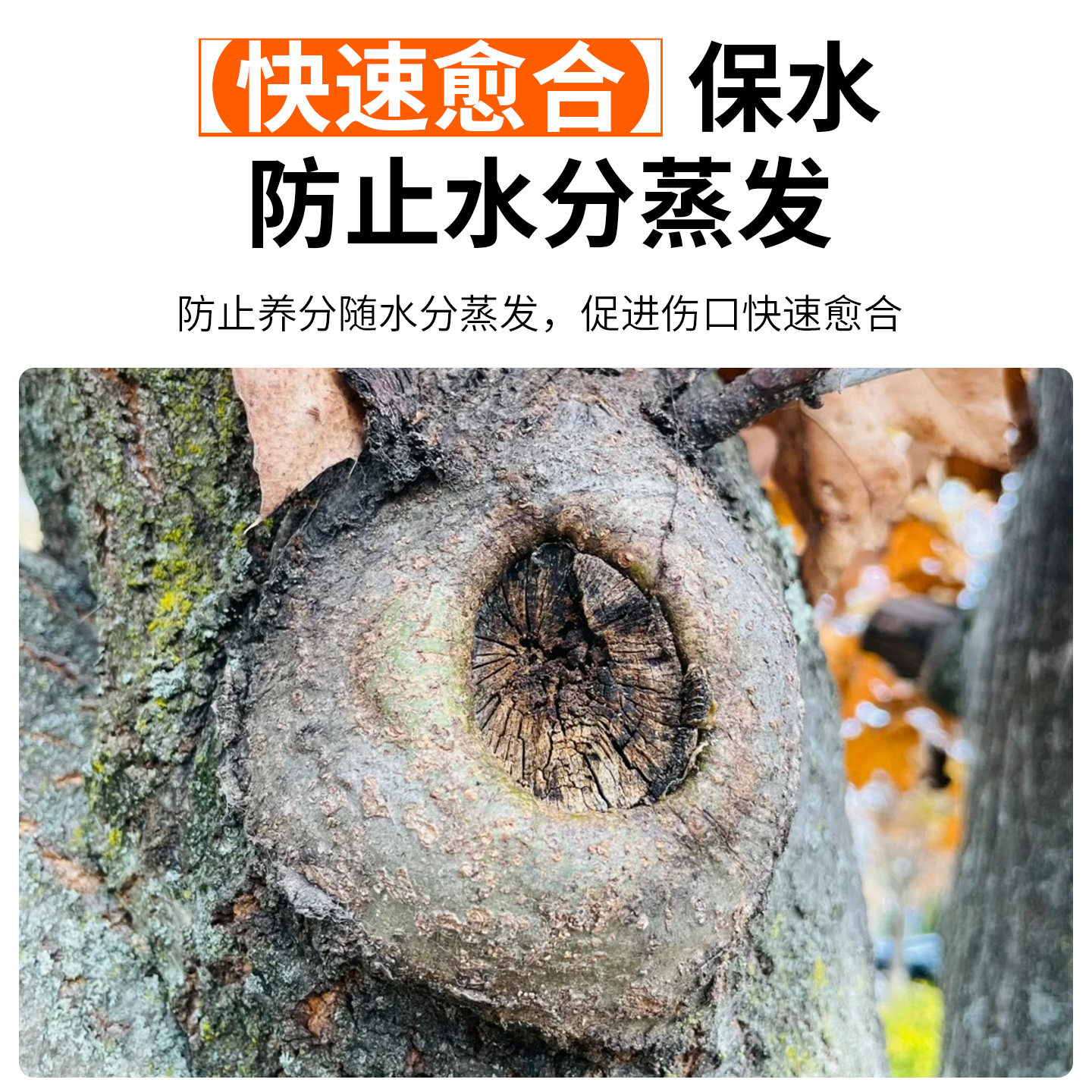 国光膜泰植物伤口愈合剂修复大树果树杨树甲基硫菌灵软腐病杀菌剂,淘宝优惠券,粉丝福利购,淘宝优惠卷