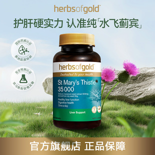 【HerbsofGold】和丽康水飞蓟护肝片
