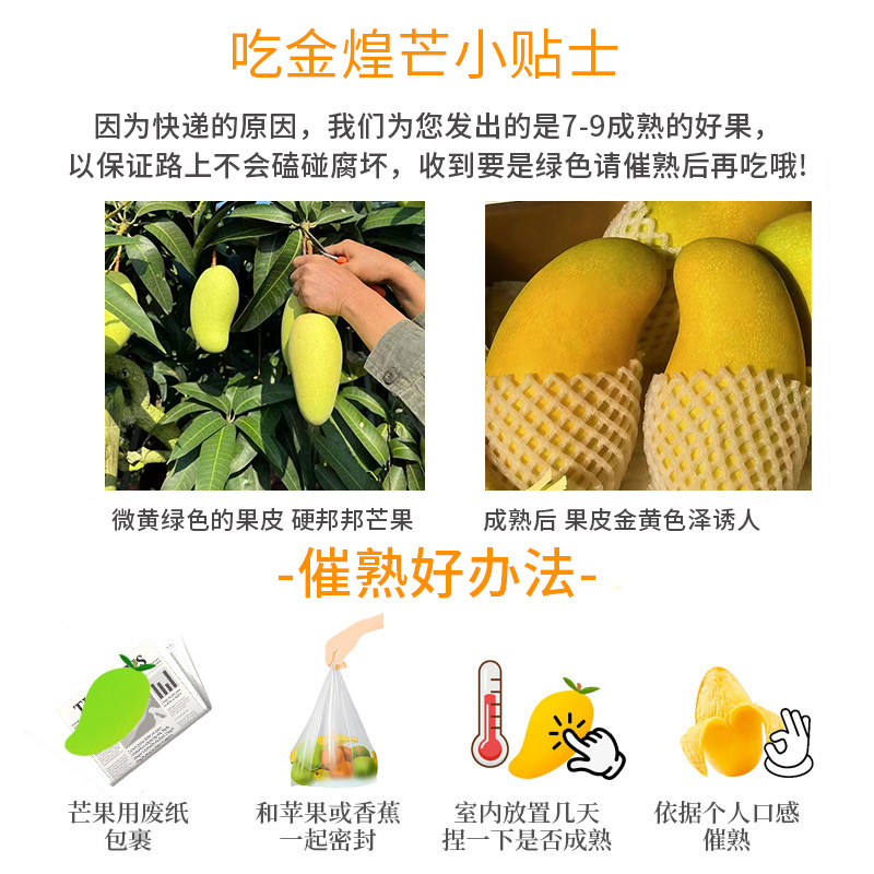 橙先森正宗金煌芒产地直发新鲜水果当季芒果青芒水仙芒