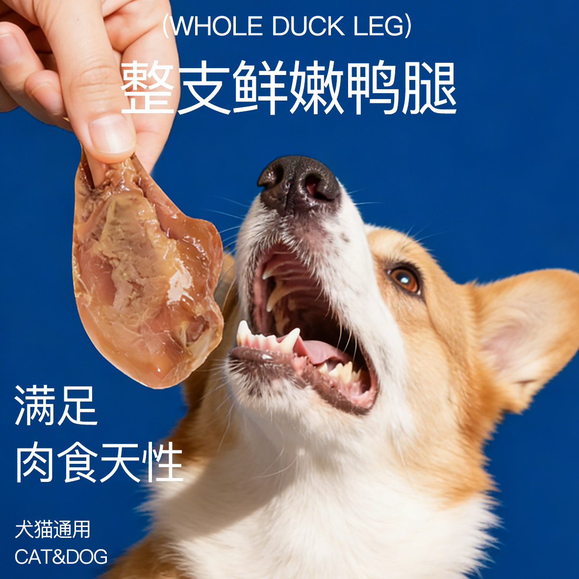 派斯乐鱼油猫零食蒸煮鱼油鸭小腿 幼猫幼犬狗狗泰迪营养补充,淘宝优惠券,粉丝福利购,淘宝优惠卷