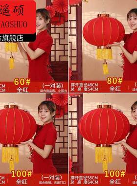 灯笼新款2026年新年过年大红灯笼2026新款春节大门口一对阳台户外