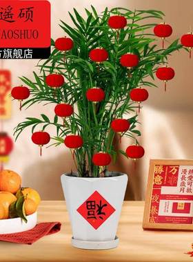 灯笼灯笼挂饰新年小红灯笼2026马年新款盆栽挂饰装饰红色树上挂件