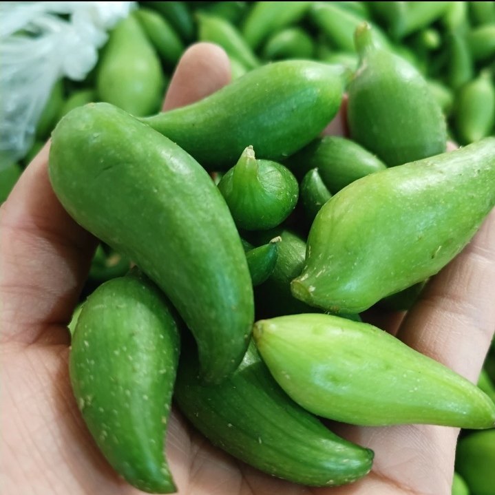 云南正宗德宏特产新鲜蔬菜小雀瓜小角瓜美味素食装短季时令蔬菜,淘宝优惠券,粉丝福利购,淘宝优惠卷