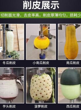 全自动削皮机商用刀双刀多功能厨房南瓜洋芋冬瓜刨皮去皮机