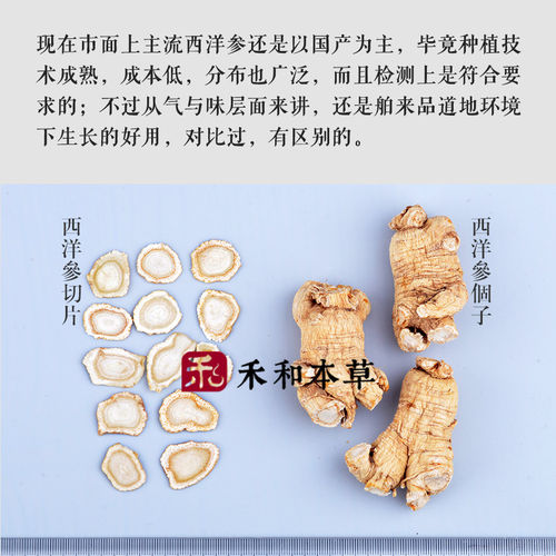 西洋参片100g1.6软质薄片6年生西洋参粉中药材舶来品禾和本草包邮 - 图2