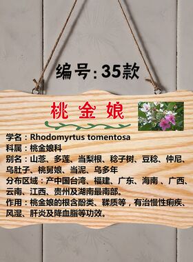 植树植物标识牌挂牌花草牌草药牌