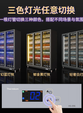 跨境供货啤酒柜保鲜展示冰柜商用连锁店饮料柜酒吧冰箱冷藏柜厂家