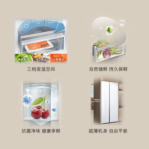 西门子512L双开门60cm超薄无界平嵌家用电冰箱一级能效KA92EA220C