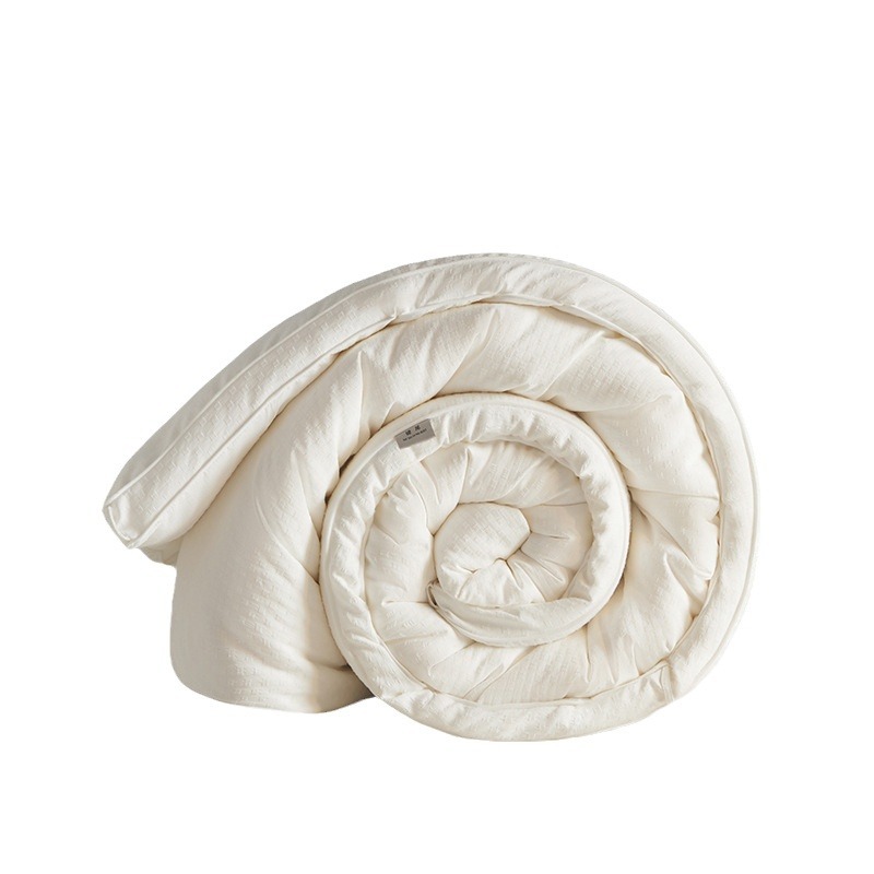 A类大豆纤维被子冬被春秋被宿舍单人学生有机棉丝棉被芯2024新款 - 图3