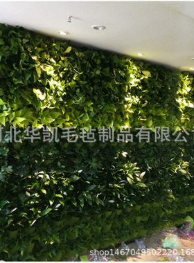 新款加厚墙体种植袋种植毯种花布