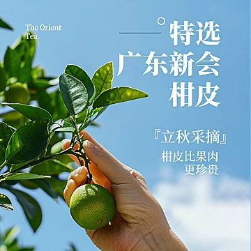 那川青柑普洱无糖纯茶500ml*4瓶[3元优惠券]-寻折猪