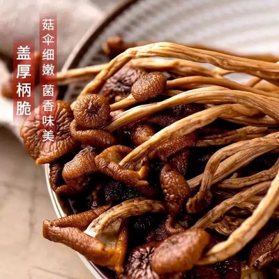 云燕珥茶树菇干货批发