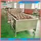 Vegetable prefabricated vegetable bubble cleaning machine, greening machine, egg processing complete equipment, mushroom deep processing machine