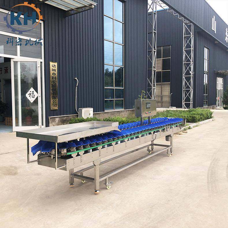 机械料盒式分选机生蚝鲍鱼重量式分选鸡爪鸭脖鸡腿智能分拣,淘宝优惠券,粉丝福利购,淘宝优惠卷