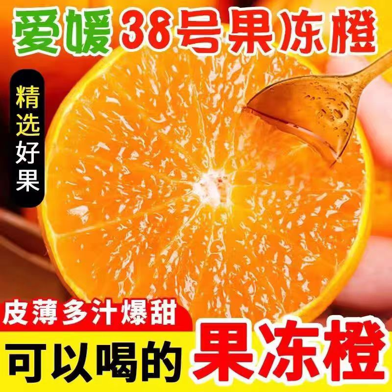 正宗爱媛果冻橙38号橙子薄皮橘子香橙孕妇新鲜水果现摘四川爱媛橙,淘宝优惠券,粉丝福利购,淘宝优惠卷