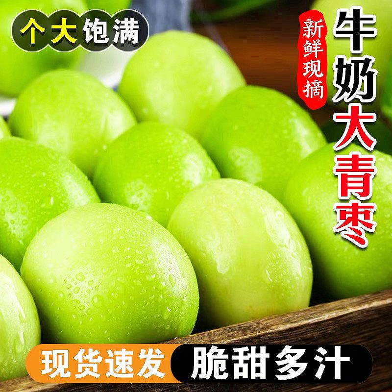 正宗牛奶大青枣奶香青枣水果整箱新鲜冬枣大果青枣脆甜孕妇苹果枣,淘宝优惠券,粉丝福利购,淘宝优惠卷