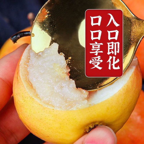 辽宁鞍山南果梨东北当季酒香水梨子现摘新鲜酥脆南国梨特产梨水果 - 图1