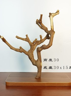 一物一拍 创意树枝毛笔架 首饰展示架