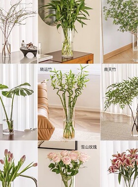 PC亚克力塑料花瓶摆件客厅插花富贵竹透明水培水养仿玻璃防摔器皿