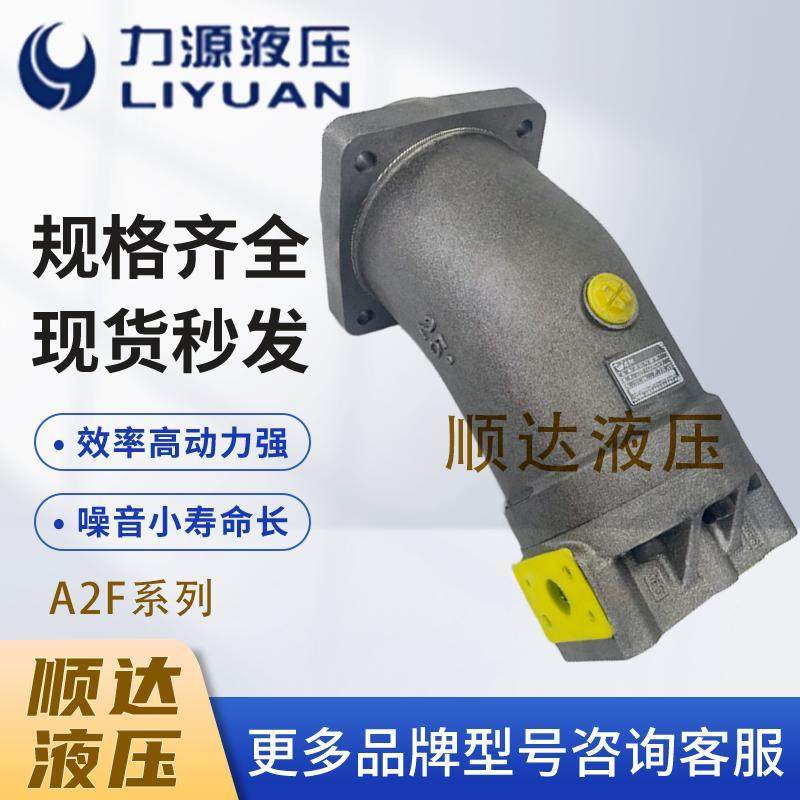 中航力源液压泵A2F L2F10/12/23/28/45/55R2P3 斜轴式柱塞泵液压 - 图3