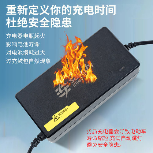 适用极核Mo1/Ae4SE/My/Ae5/Ez4/Ae7/Ez3/Ae2电动车铅酸三石充电器 - 图1