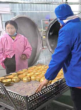 温杀菌锅食用菌不锈钢杀菌釜金线莲压灭菌设备神龙厂家包邮