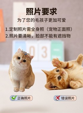 宠物摇头摆件家居搞笑装饰桌面照片定制猫咪小摆件车载小狗摇一摇