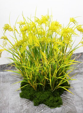 真带根稻谷稻穗稻子水稻稻田谷子麦子塑料花假花装饰花谷穗